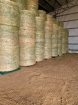 Fresh Alfalfa hay, Bermuda and Timothy and Orchardgrassphoto1
